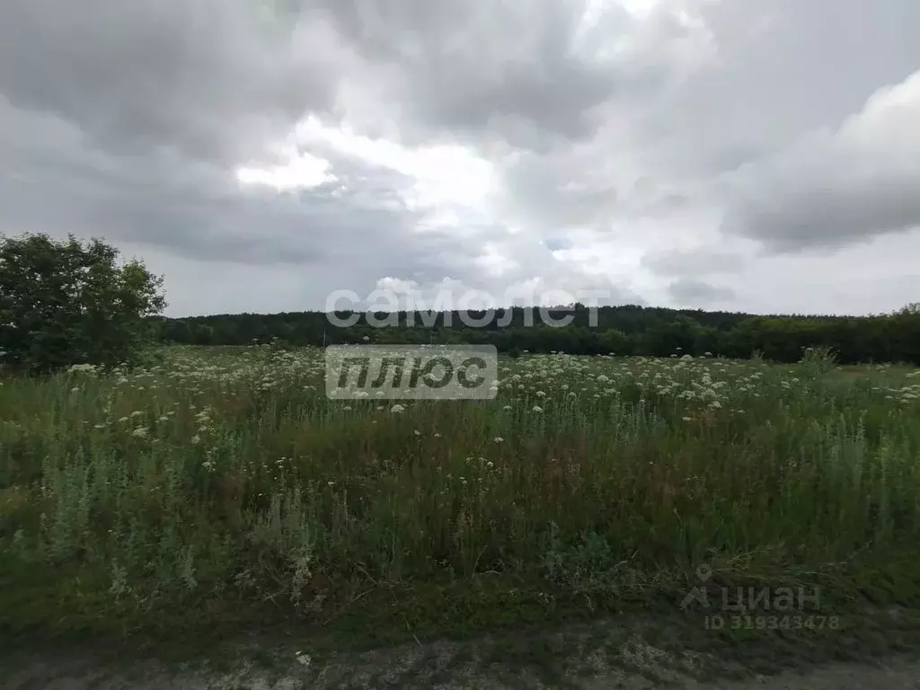 Участок в Пензенская область, Пензенский район, Засечный сельсовет, с. ... - Фото 1