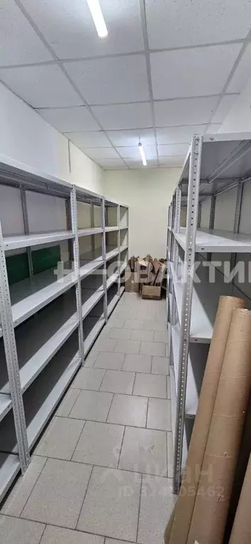 Помещение свободного назначения в Новосибирская область, Новосибирск ... - Фото 2