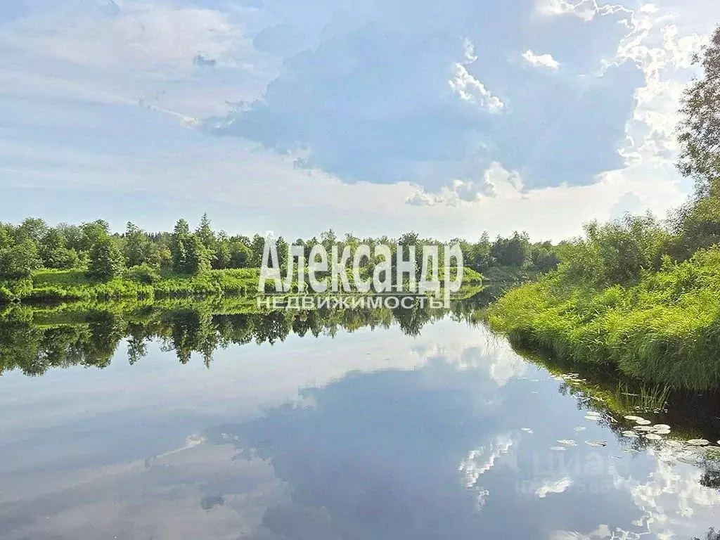 Участок в Ленинградская область, Волховский район, Пашское с/пос, д. ... - Фото 1