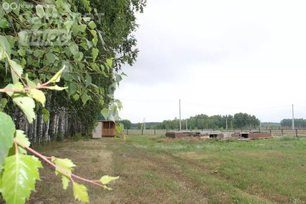 Участок в посёлок Иртышский, Восточная улица, 8 (20 м) - Фото 0