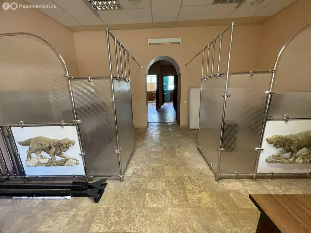 Помещение свободного назначения (54 м) - Фото 1
