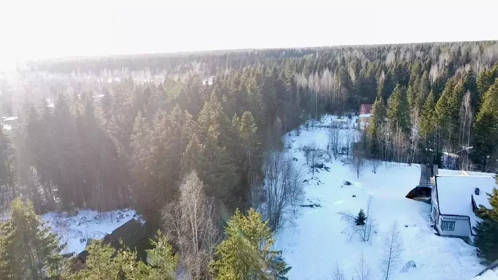 Участок в Ленинградская область, Кировский район, Шумское с/пос, пос. ... - Фото 2