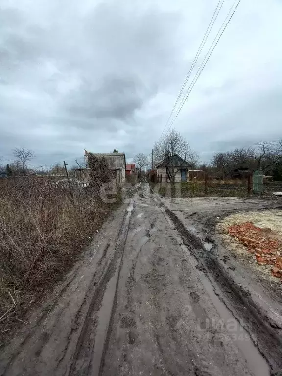 участок в воронежская область, воронеж путь мичурина днт, ул. грушовая . - Фото 1