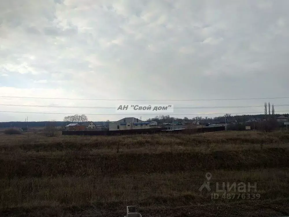 Участок в Воронежская область, Новоусманский район, с. Бабяково ... - Фото 0