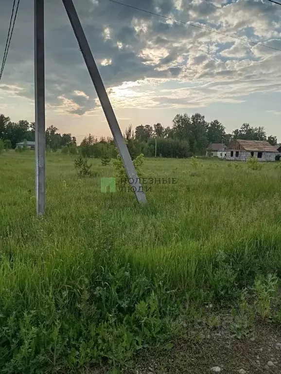 Участок в Алтайский край, Первомайский район, пос. Новый ул. Кольцова ... - Фото 0