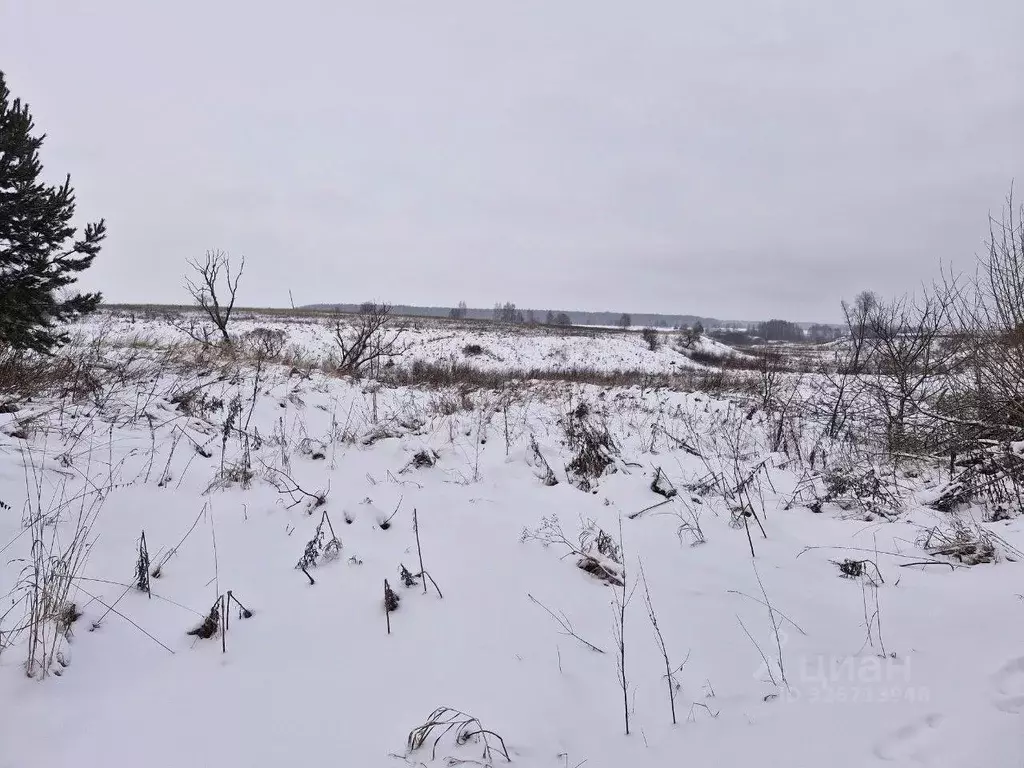 Участок в Московская область, Ступино городской округ, д. Костомарово ... - Фото 1