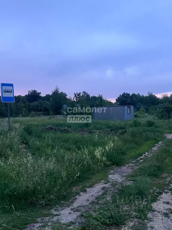 Участок в Липецкая область, Задонский муниципальный округ, с. Казино  ... - Фото 1