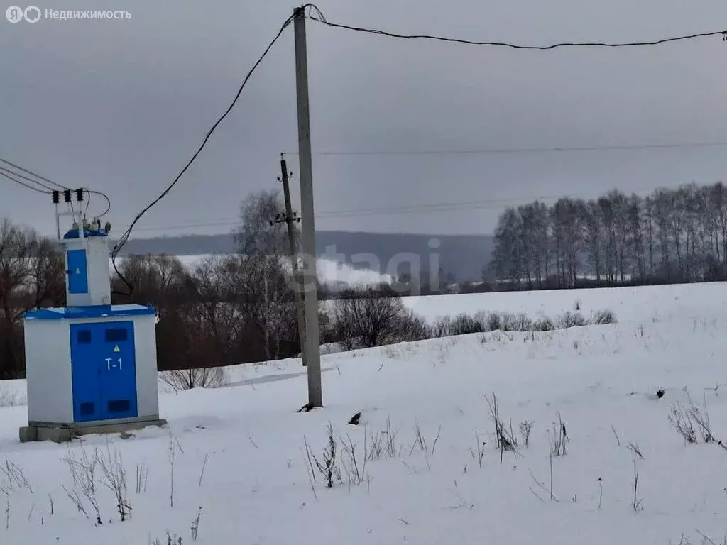 Участок в Кочкуровский район, село Подлесная Тавла (10 м) - Фото 2