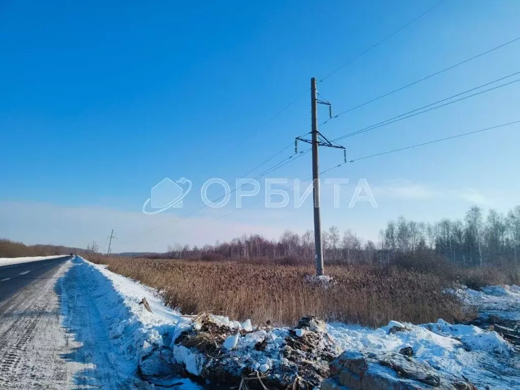 Участок в Тюменская область, Тюмень Велижанский тракт, 9-й км (270.0 ... - Фото 1