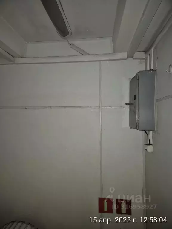 Помещение свободного назначения в Санкт-Петербург Сенной муниципальный ... - Фото 1