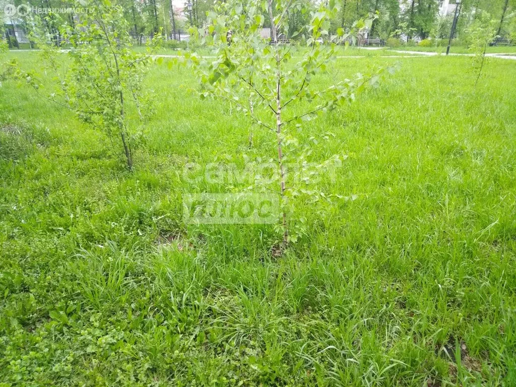 Участок в Искитимский район, посёлок Мичуринский (6.5 м) - Фото 2