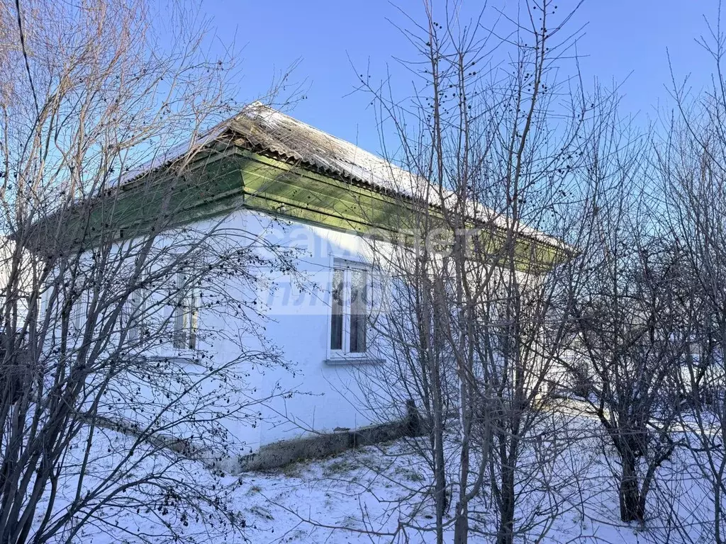 Дом в Алтайский край, Смоленский район, с. Смоленское Песчаная ул., 38 ... - Фото 2