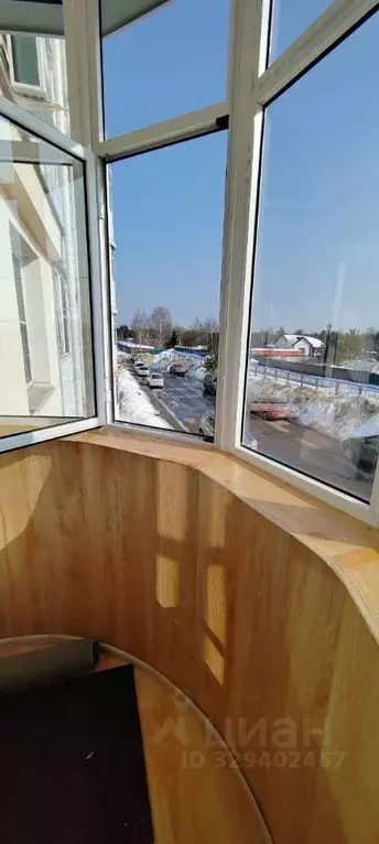 1-к кв. Московская область, Пушкинский городской округ, Лесной пгт ул. ... - Фото 1