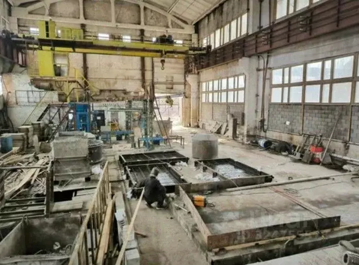 Производственное помещение в Ленинградская область, Приозерск ул. ... - Фото 2