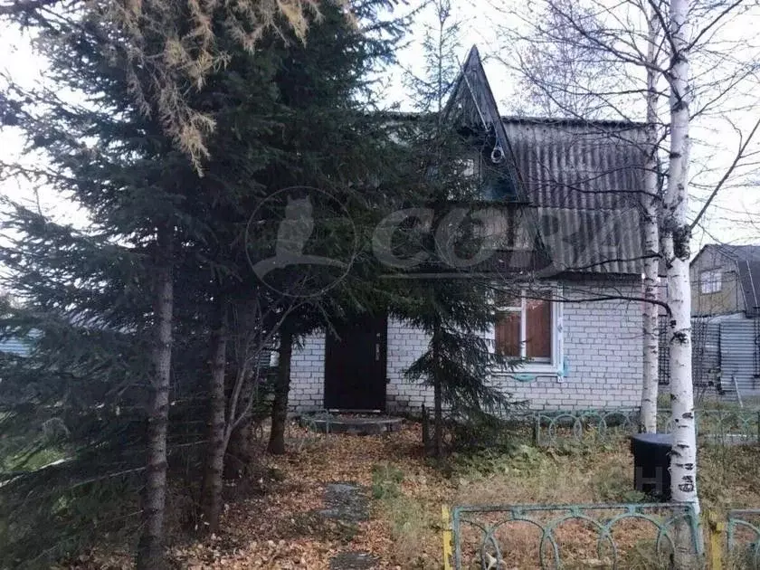 Дом в Ханты-Мансийский АО, Сургут Солнечное СОНТ, 364 (50 м) - Фото 1