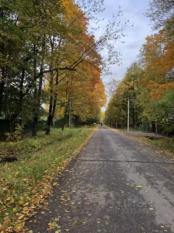 2-к кв. Московская область, Пушкинский городской округ, пос. ... - Фото 2
