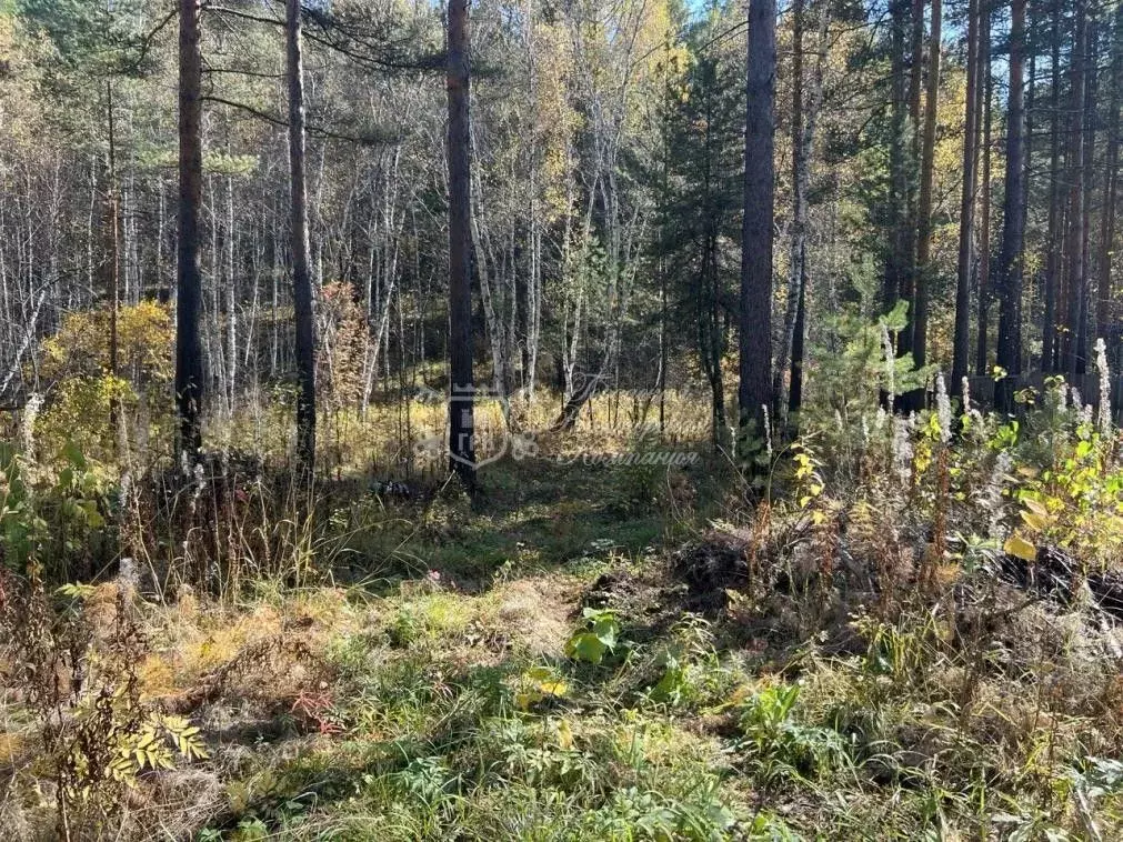 Участок в Иркутская область, Иркутский муниципальный округ, Маркова ... - Фото 2