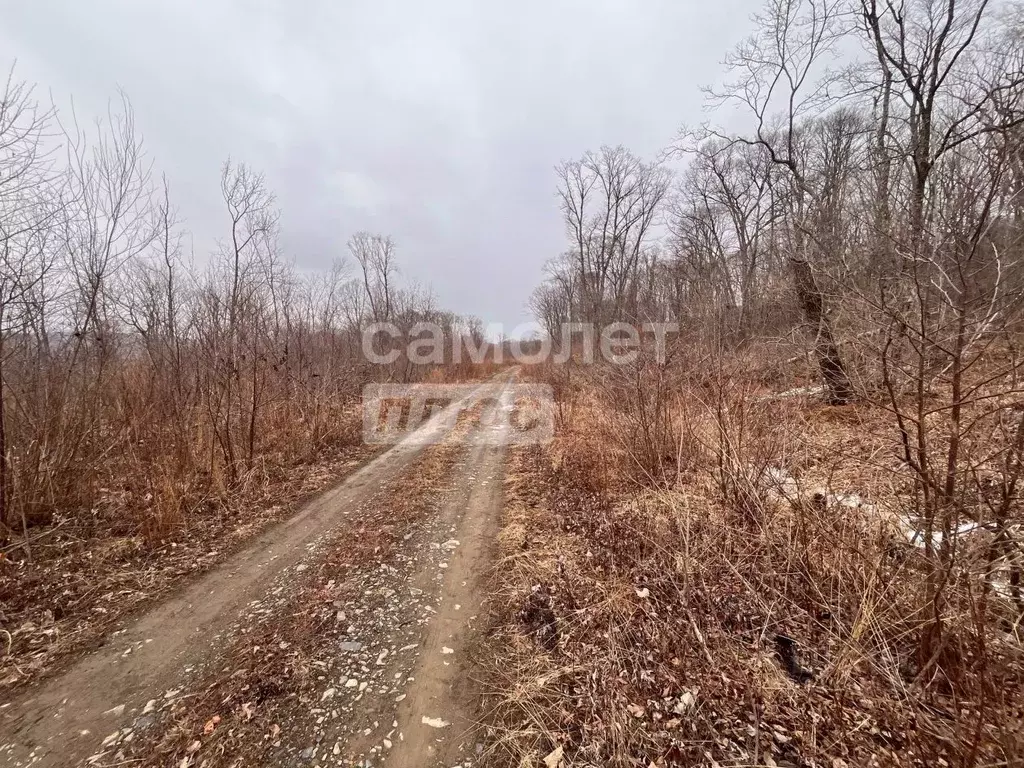 Участок в Приморский край, Фокино пл. ДОФ (20.0 сот.) - Фото 2
