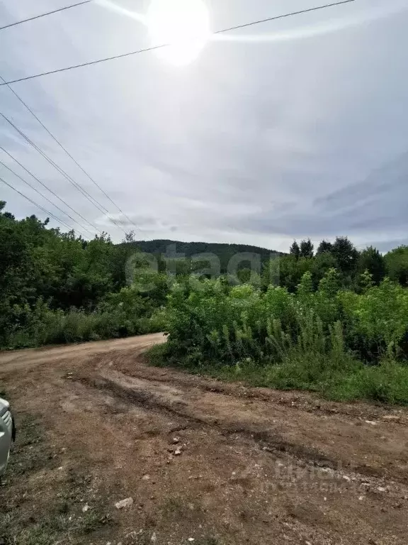Участок в Алтайский край, Белокуриха ул. Угрюмова (65.0 сот.) - Фото 1