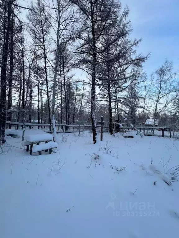 Дом в Саха (Якутия), Якутск городской округ, с. Маган  (30 м) - Фото 1