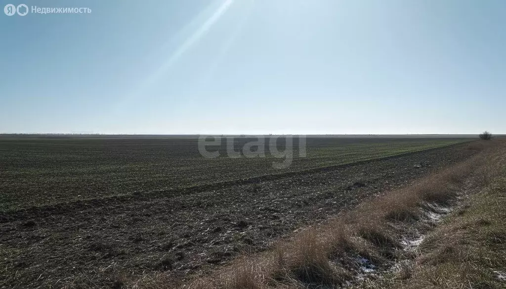 Участок в Сакский район, Лесновское сельское поселение, село Гаршино ... - Фото 2