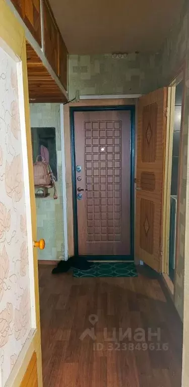 1-к кв. Волгоградская область, Волгоград ул. Академика Богомольца, 6 ... - Фото 1