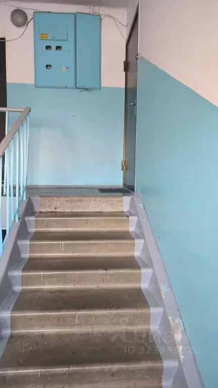 3-к кв. Красноярский край, Красноярск 9 Мая ул., 40 (73.0 м) - Фото 2