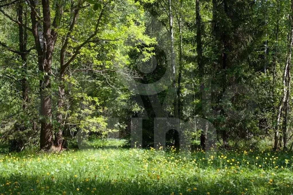 Участок 44 сот. (ИЖС) - Фото 0