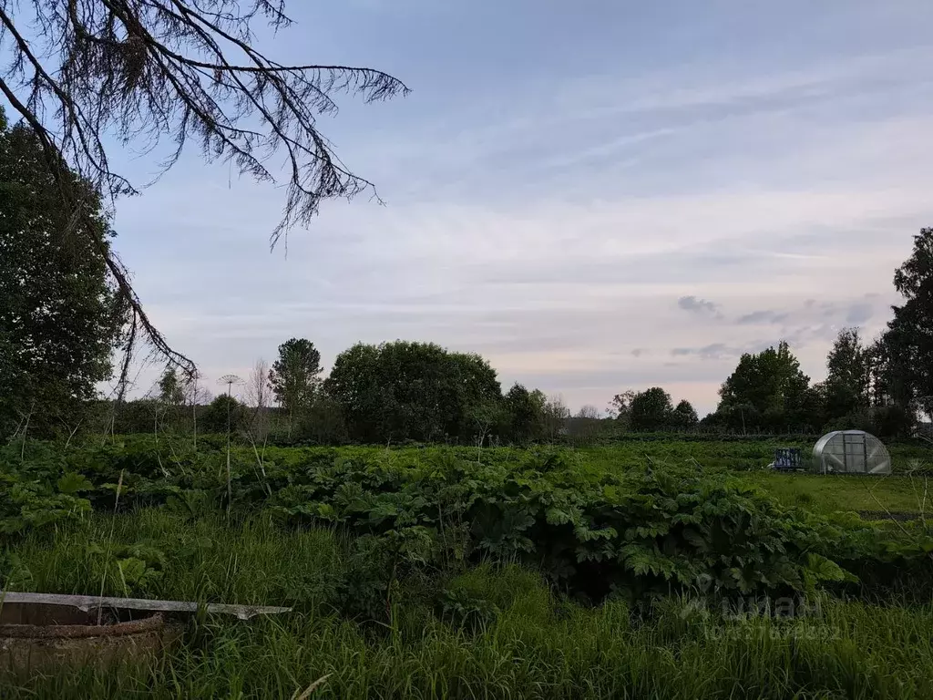 Участок в Ленинградская область, Тосненское городское поселение, д. ... - Фото 1