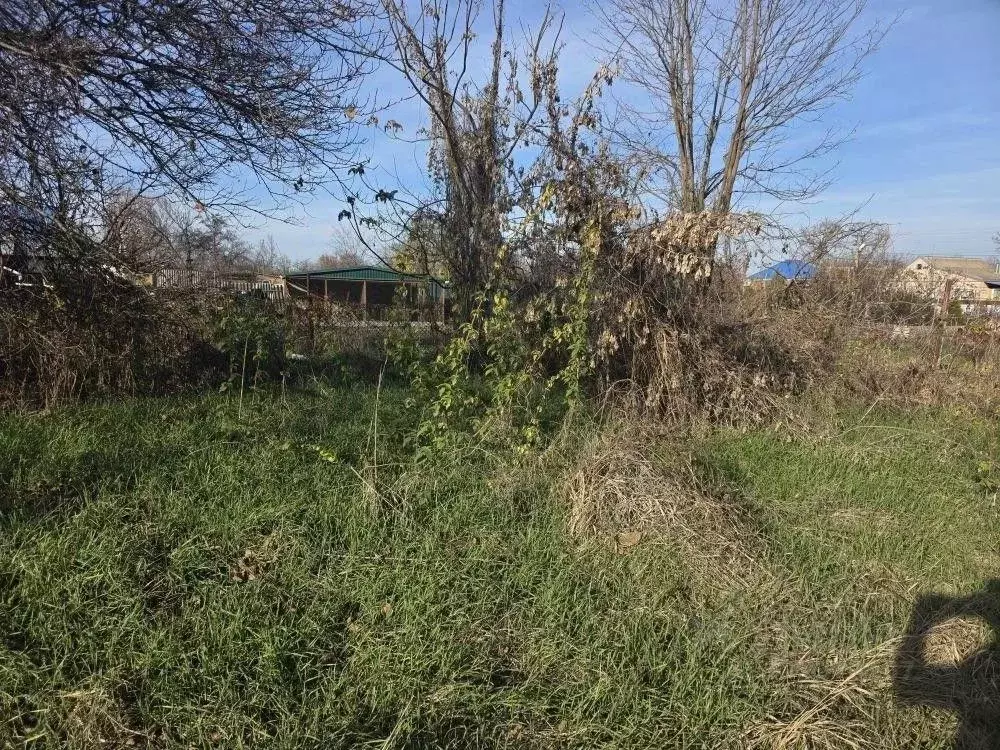 Участок в Краснодарский край, Новокубанский район, Бесскорбненское ... - Фото 1