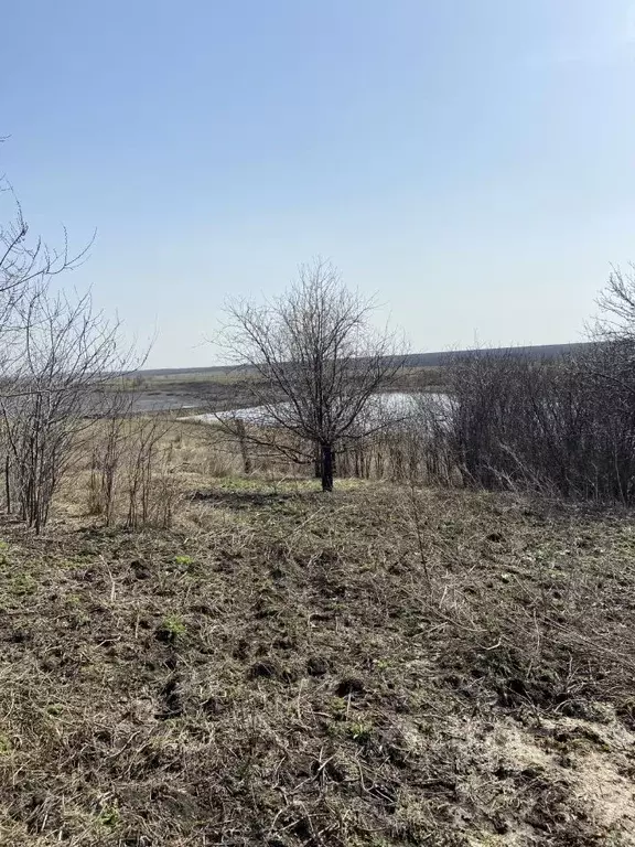 Участок в Саратовская область, пос. Дубки ул. Фабричная (12.0 сот.) - Фото 1