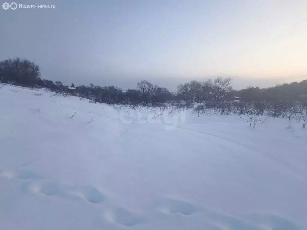 Участок в Калужская область, Тарусский муниципальный округ, сельское ... - Фото 2