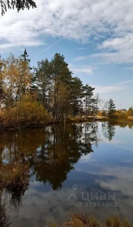 Участок в Ленинградская область, Ломоносовский район, Кипенское с/пос  ... - Фото 2