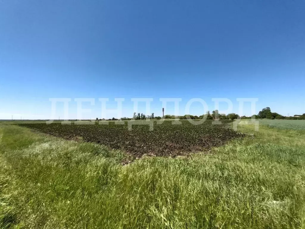 Участок в Ростовская область, Багаевский район, Манычское с/пос, ... - Фото 2