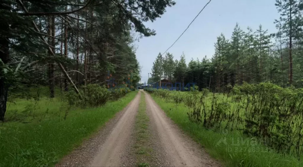 Участок в Нижегородская область, Городецкий муниципальный округ, д. ... - Фото 2