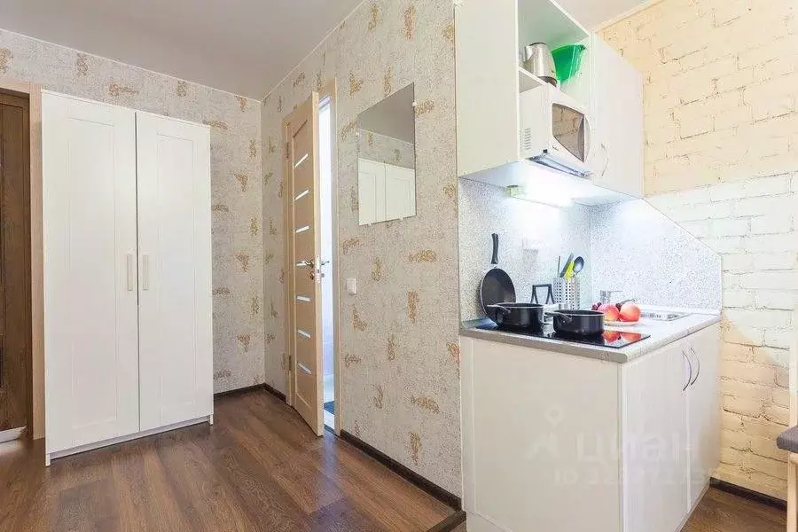 1-к кв. Санкт-Петербург ул. Маяковского, 19/15 (21.0 м) - Фото 2