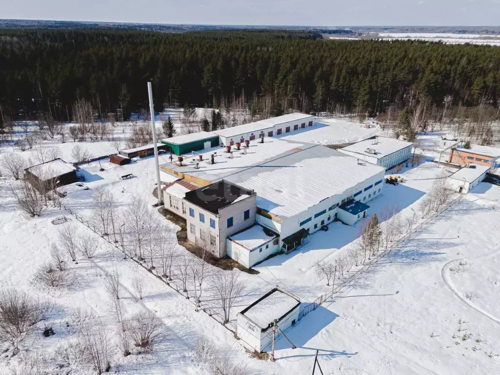 Склад в Ярославская область, Любим ул. Смирнова, 10 (5181 м) - Фото 1