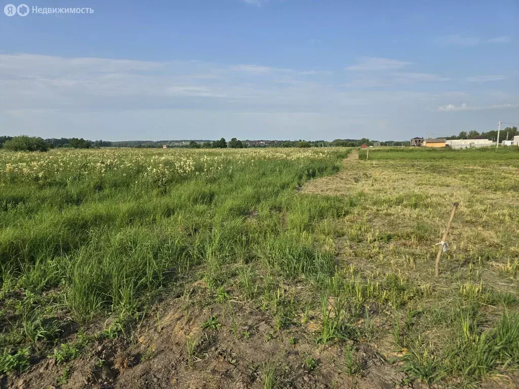 Участок в Тульская область, городской округ Тула, деревня Новая ... - Фото 1