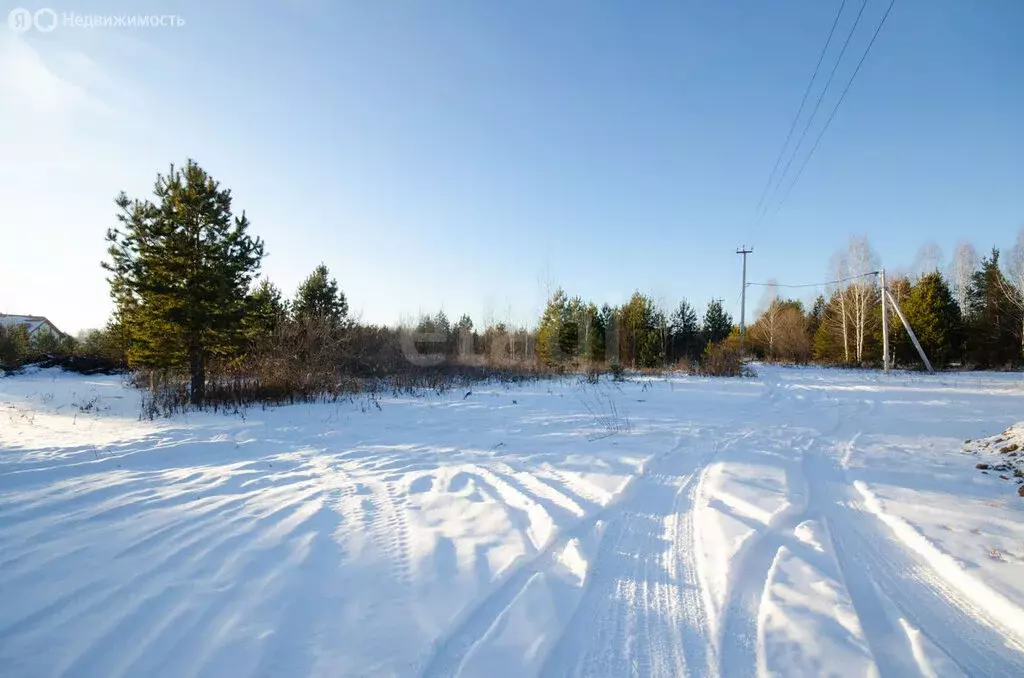 Участок в Заводоуковск, СНТ Колос (14.5 м) - Фото 1