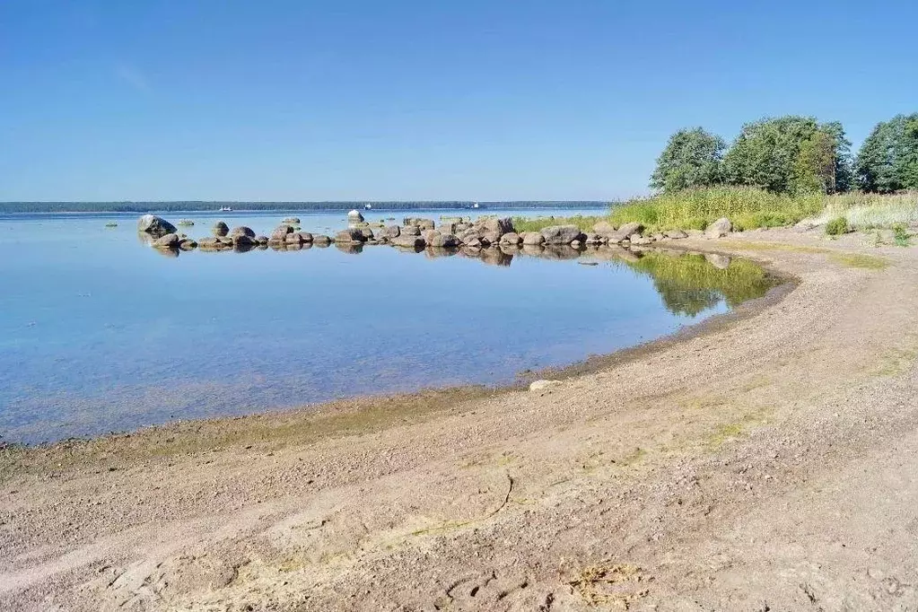 Участок, 12 сот., поселения (ижс) - Фото 2