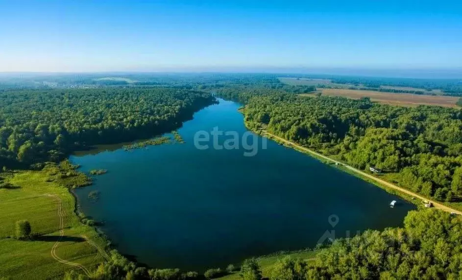 Участок в Новосибирская область, Новосибирский район, Березовский ... - Фото 0