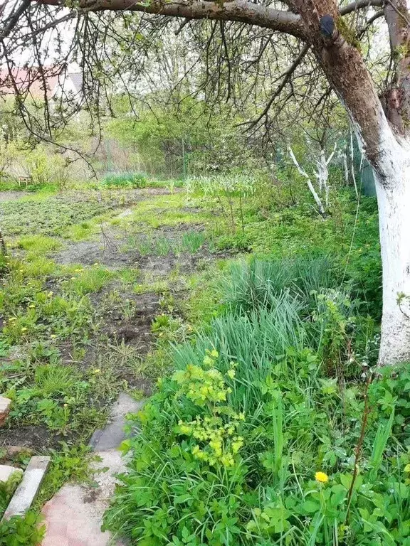 Дача 24 м на участке 6,2 сот. - Фото 1