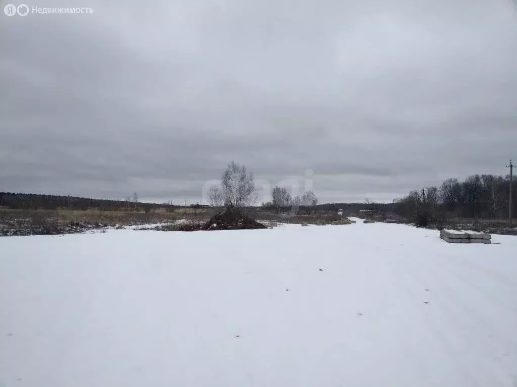 Участок в Тульская область, городской округ Тула, деревня Ильино (15 ... - Фото 2