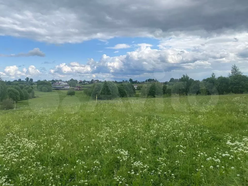 Купить Участок В Селе Каринское Около Звенигорода