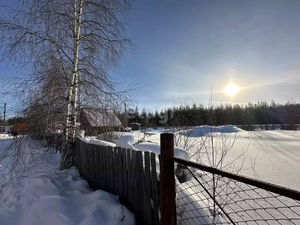 Участок в Ханты-Мансийский АО, Сургутский район, Барсово городское ... - Фото 1