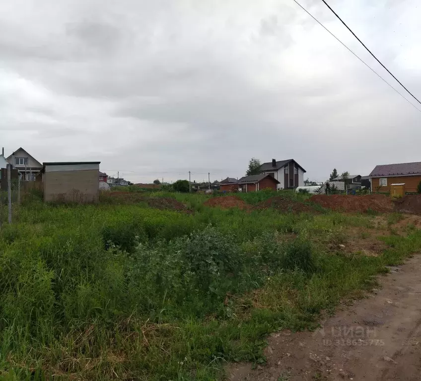 Участок в Нижегородская область, Арзамас городской округ, с. Чернуха  ... - Фото 1
