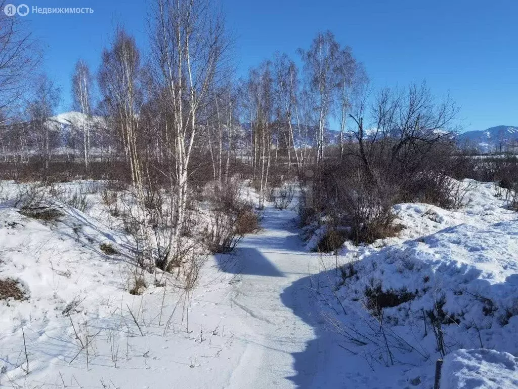 Участок в Усть-Коксинский район, посёлок Октябрьское (650 м) - Фото 2