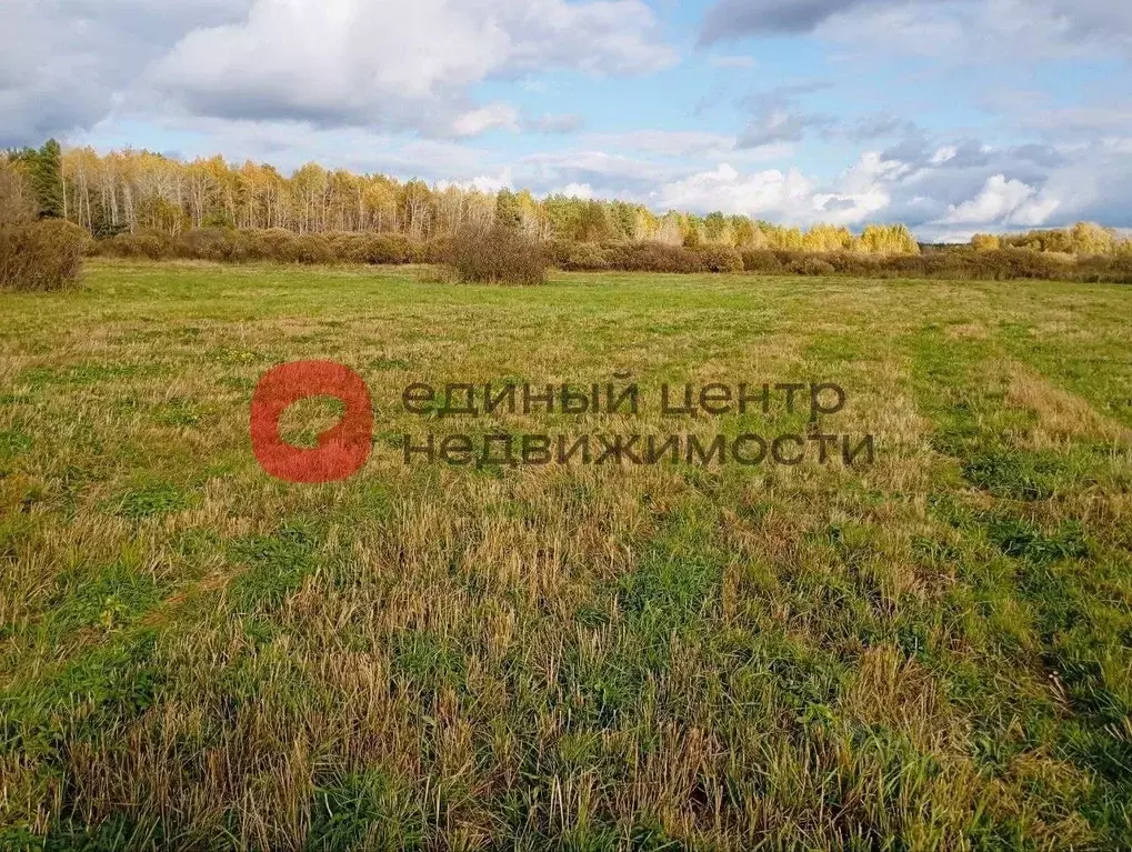 Участок в Тюменская область, Ярковский муниципальный округ, д. Мотуши  ... - Фото 1