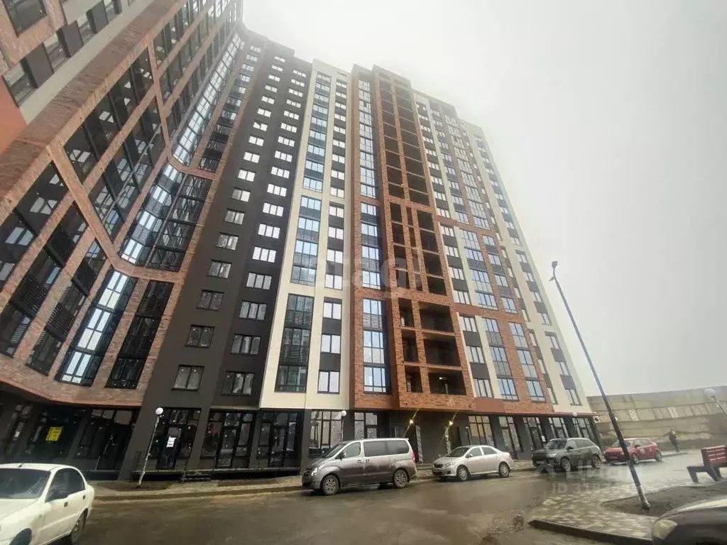Помещение свободного назначения в Воронежская область, Воронеж ... - Фото 1