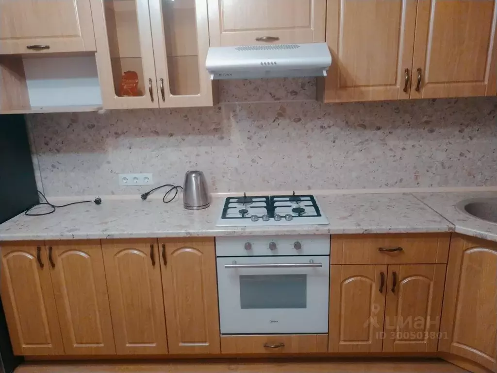 1-к кв. Нижегородская область, Нижний Новгород Горная ул., 11 (46.0 м) - Фото 2